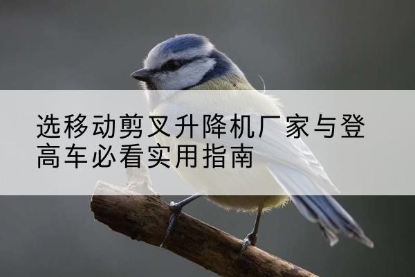 霞浦电动升降机厂家-选移动剪叉升降机厂家与登高车必看实用指南