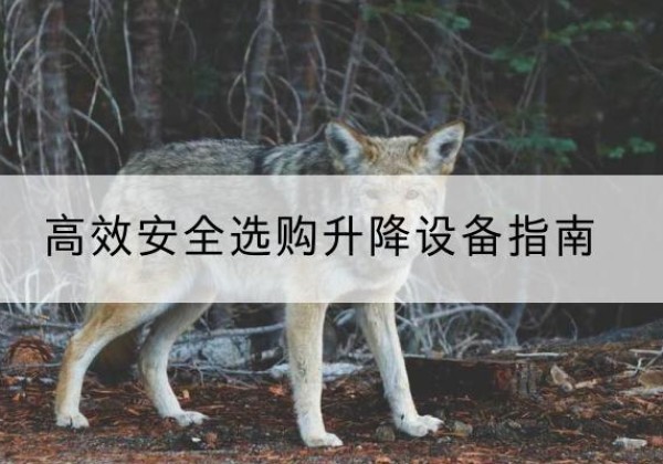 霞浦升降货梯厂家推荐-*安全选购升降设备指南