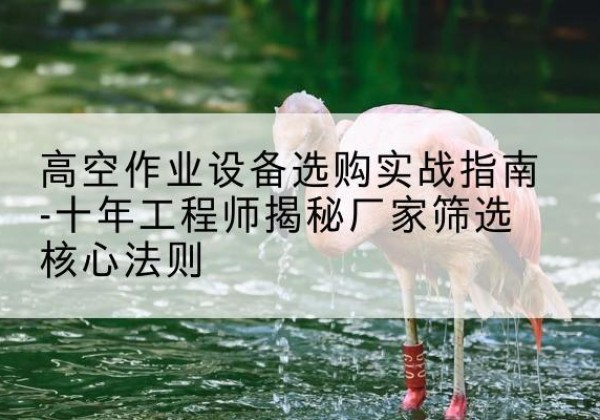 霞浦剪叉式升降机厂家-高空作业设备选购实战指南-十年工程师揭秘厂家筛选核心法则